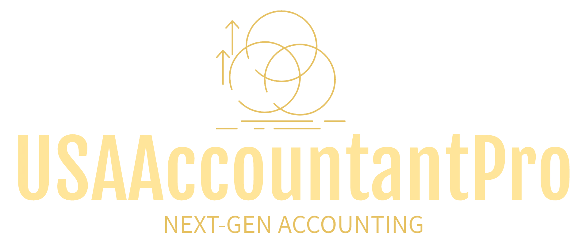 USAAccountantPro Logo